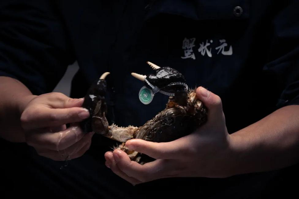 图片1.png 图片1.png